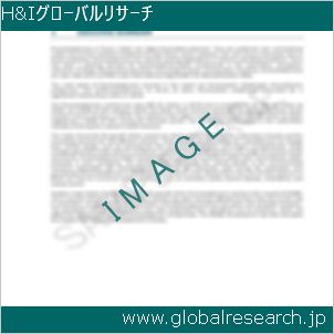 グローバルリサーチ調査レポートのイメージ